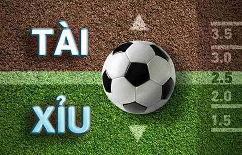 Kèo tổng thẻ trong trận đấu tài/xỉu là gì và cách chơi 2 Kèo tổng thẻ tài xỉu là gì?